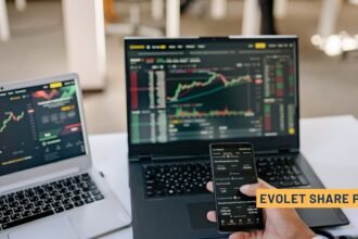 Evolet Share Price